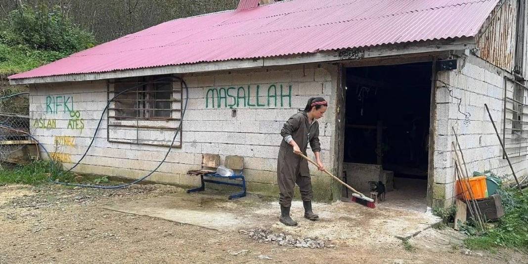 İstanbul’u bırakıp Giresun’a yerleştiler, kendi mandıralarını kurdular! 5 hayvan sayısı şimdi 40’a ulaştı: Üretim onlarla arttı 1